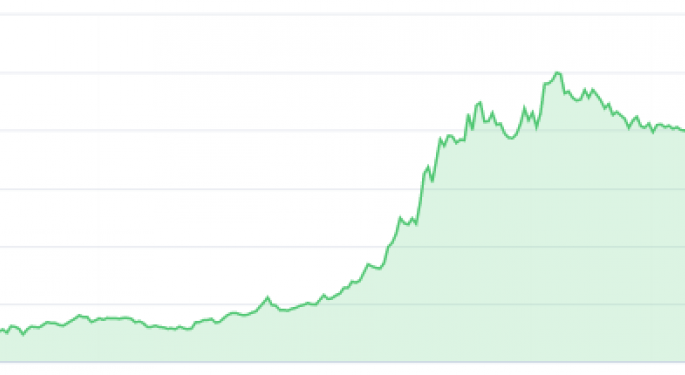 Netsuite stock options