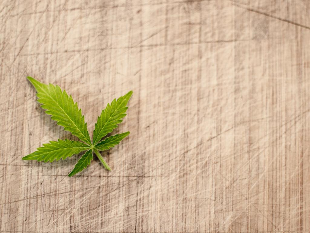 Tilray gains United States government approval to import a medical cannabis study drug