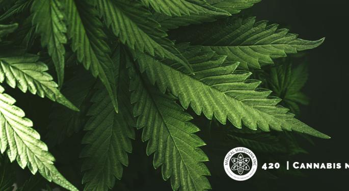 Top 10 New Studies On The Effects of Marijuana