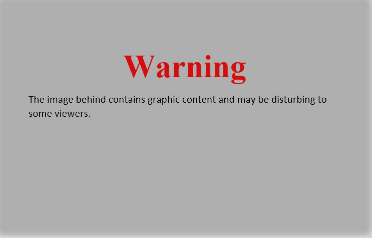 warning.png